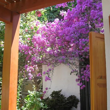 Villa Tarnos Gümüşlük